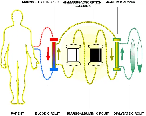 Mars-Molecular Adsorption Recirculating System